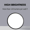 Premium LED Ceiling Light Fixture - Black, 24W 4500K