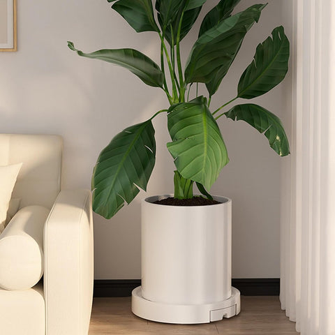 CARLA HOME Rolling Plant Stand – 26cm with 360° Wheels, 75kg Capacity