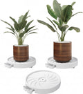 CARLA HOME Rolling Plant Stand – 26cm 2 Pack with 360° Wheels, 75kg Capacity