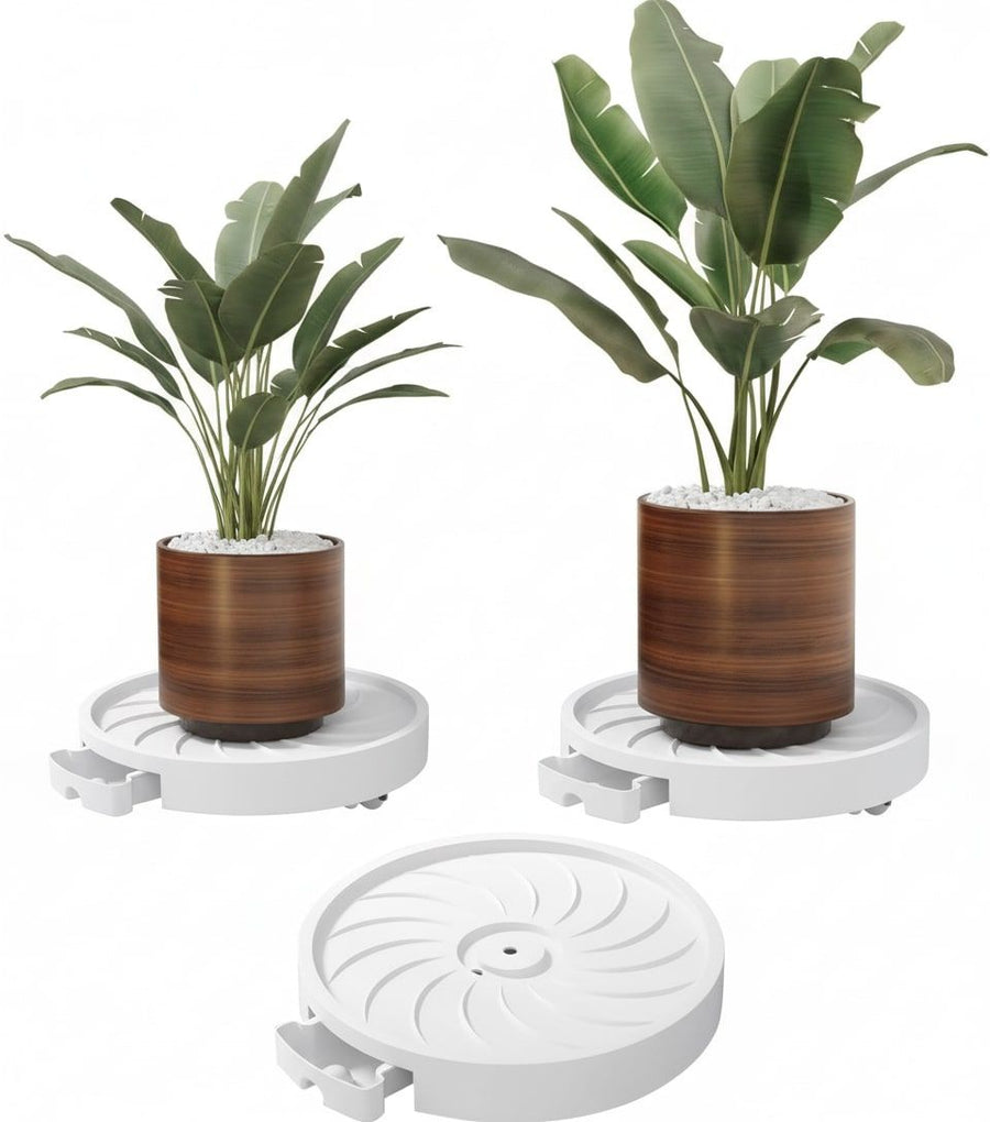 CARLA HOME Rolling Plant Stand – 26cm 2 Pack with 360° Wheels, 75kg Capacity