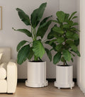 CARLA HOME Rolling Plant Stand – 26cm 2 Pack with 360° Wheels, 75kg Capacity