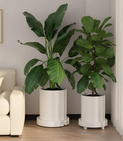 CARLA HOME Rolling Plant Stand – 26cm 2 Pack with 360° Wheels, 75kg Capacity