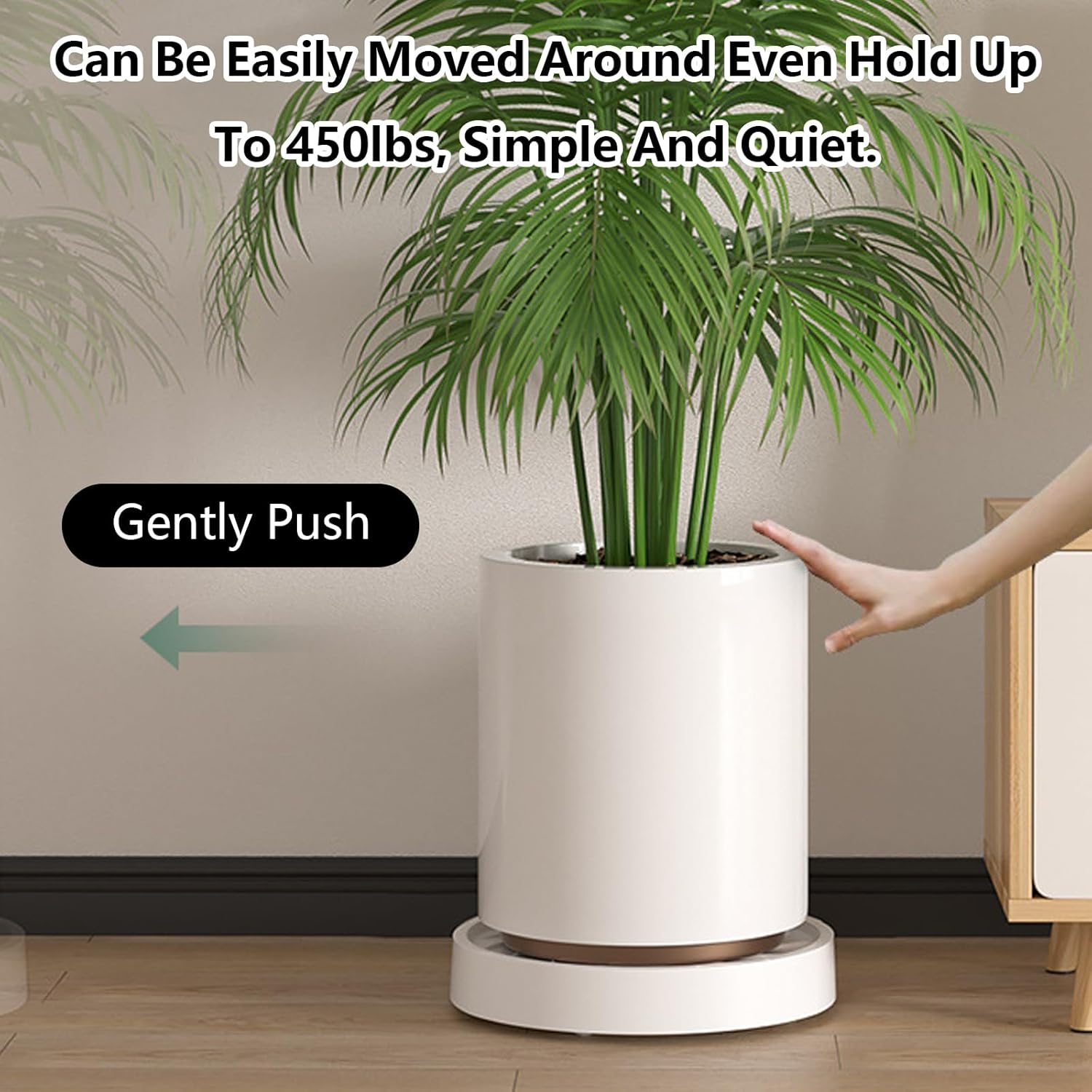 CARLA HOME Rolling Plant Stand – 26cm 2 Pack with 360° Wheels, 75kg Capacity