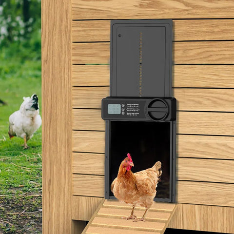 CARLA HOME Automatic Chicken Coop Door Opener – Timer & Anti-Pinch Protection