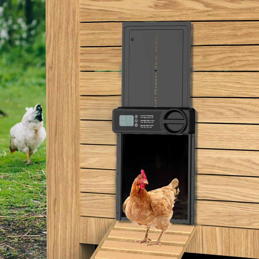 CARLA HOME Automatic Chicken Coop Door Opener – Timer & Anti-Pinch Protection