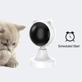 CARLA HOME Interactive Laser Cat Toy with Adjustable Angle & 2 Speeds