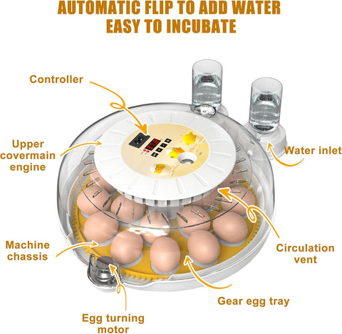 CARLA HOME Automatic Egg Incubator with LED Display & Candler - 18 Egg