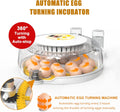 CARLA HOME Automatic Egg Incubator with LED Display & Candler - 18 Egg