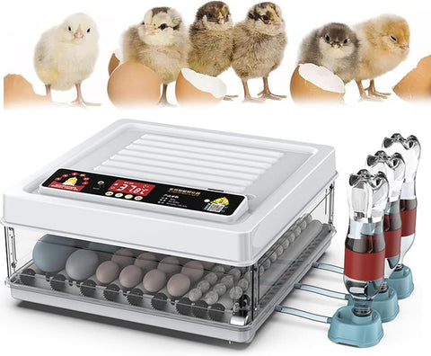 CARLA HOME Automatic Egg Incubator with LED Display & Candler - 70 Egg