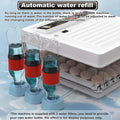 CARLA HOME Automatic Egg Incubator with LED Display & Candler - 70 Egg