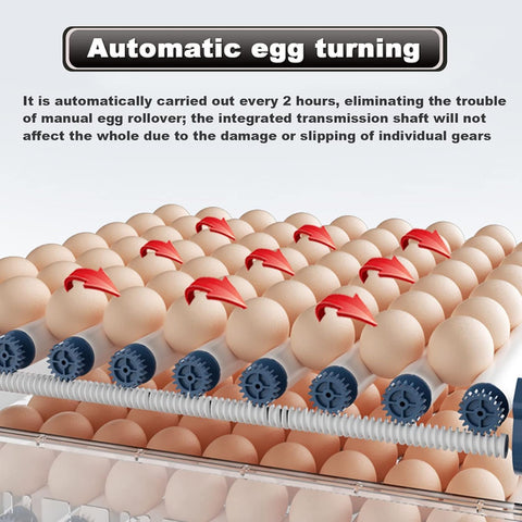 CARLA HOME Automatic Egg Incubator with LED Display & Candler - 128 Egg