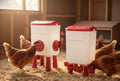 CARLA HOME Automatic Chicken Feeder Waterer Set - 8kg & 7L Red
