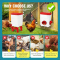 CARLA HOME Automatic Chicken Feeder Waterer Set - 8kg & 7L Red
