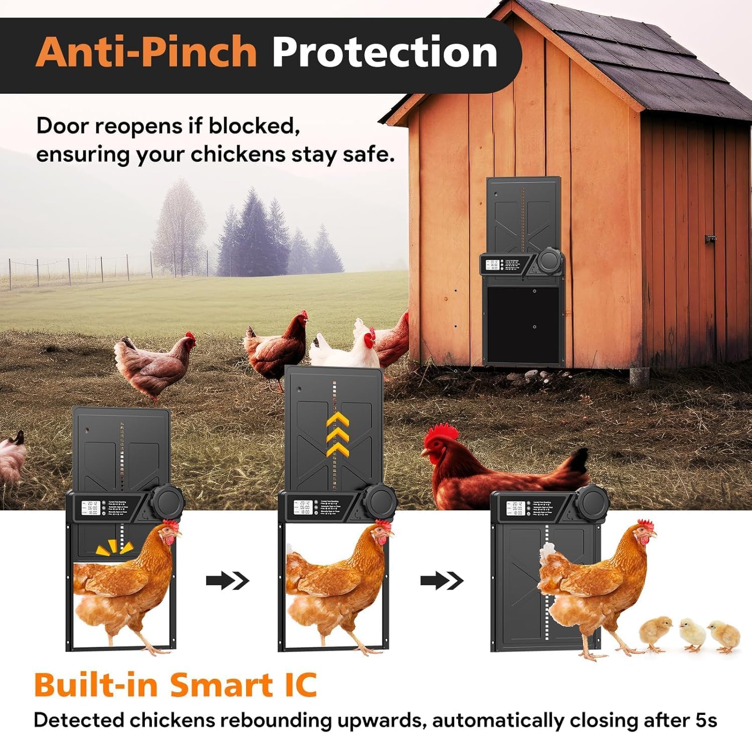 CARLA HOME Solar Automatic Chicken Coop Door with Remote & LED Screen