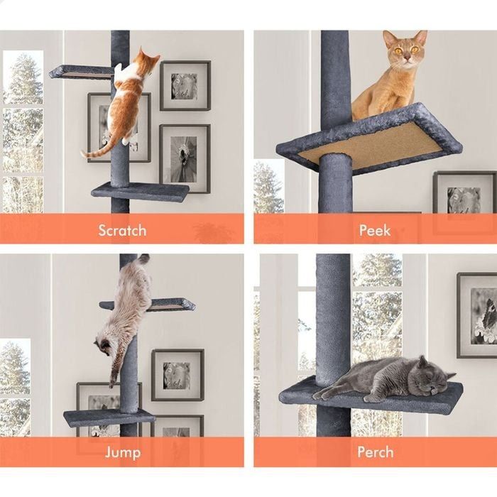 CARLA HOME Floor to Ceiling Cat Tree Tower – Grey 230-286cm Adjustable Height