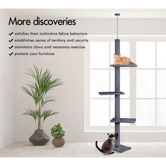 CARLA HOME Floor to Ceiling Cat Tree Tower – Grey 230-286cm Adjustable Height