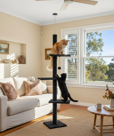 CARLA HOME Floor to Ceiling Cat Tree Tower – Black 230-286cm Adjustable Height