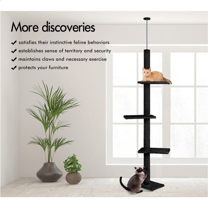 CARLA HOME Floor to Ceiling Cat Tree Tower – Black 230-286cm Adjustable Height