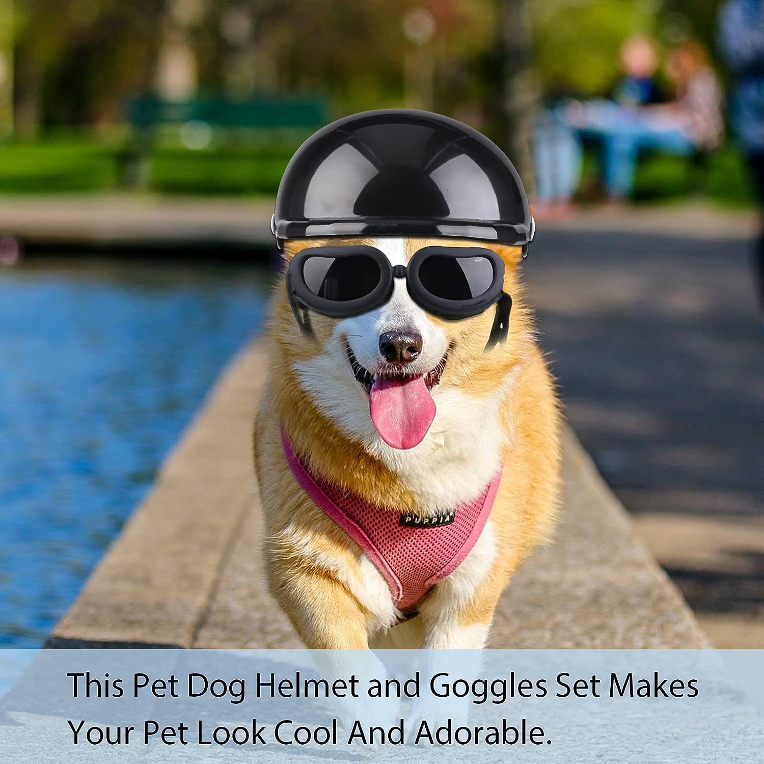 Premium Black Small Dog Helmet and Goggles Set Adjustable Pet Travel Costume Gear