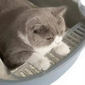 High Side Cat Litter Box with Scoop - Durable, Easy Clean, Enhanced Privacy, 0.378 kg - SuperSaverAU - view 6