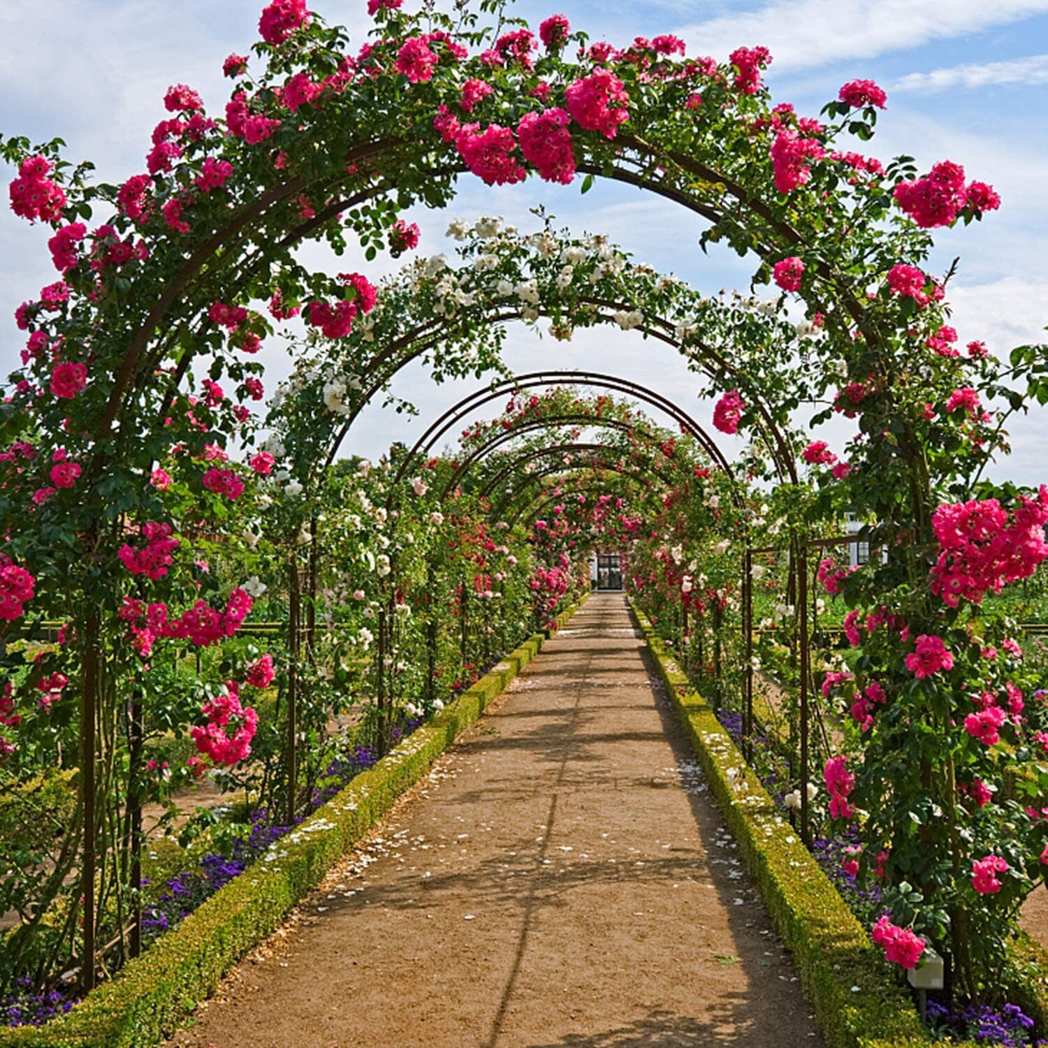 Premium Metal Garden Arch Trellis – Dark Green for Climbing Plants