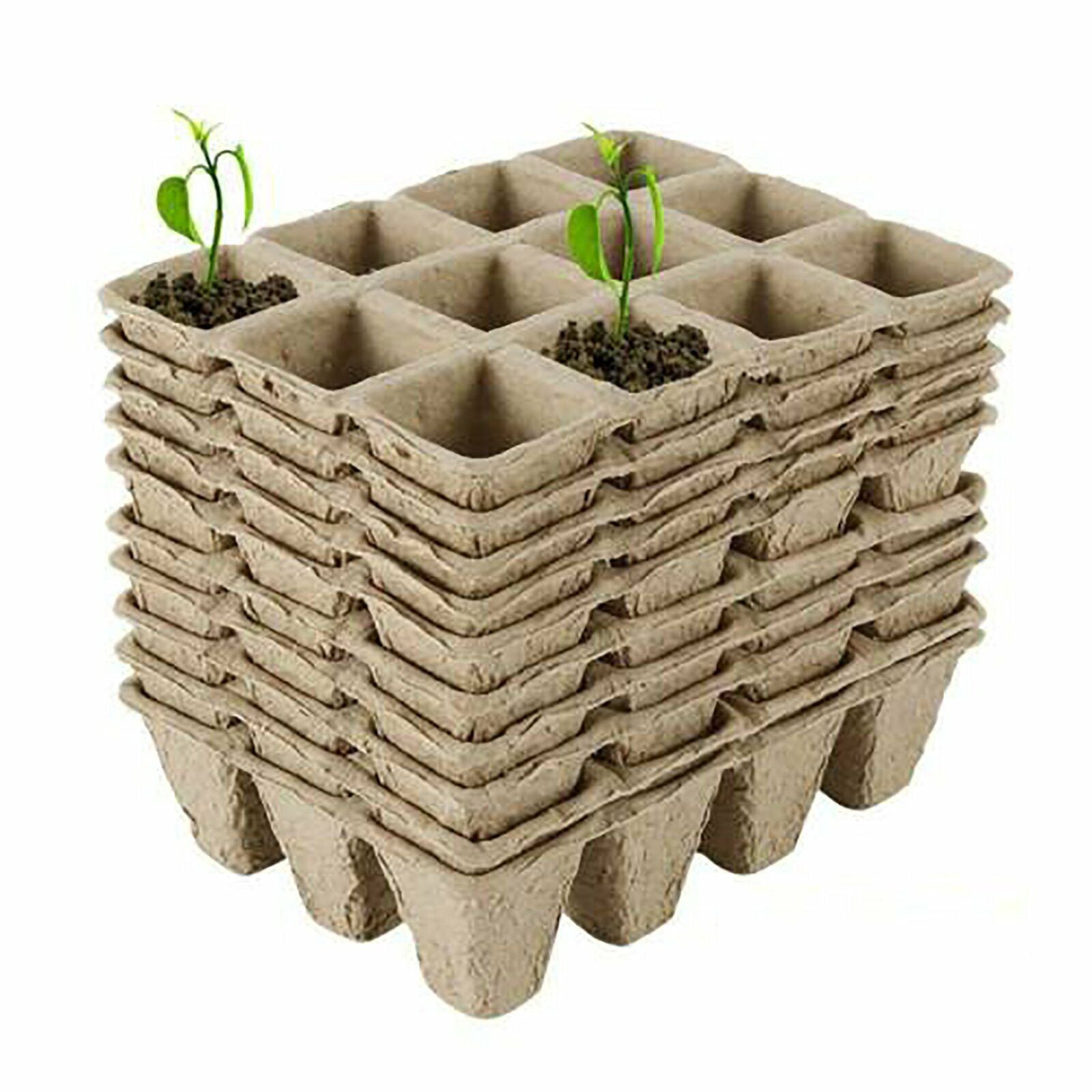 10pcs Biodegradable Seedling Trays 12-Hole Garden Starter, Eco-Friendly, 16.5x12x12 cm - SuperSaverAU - view 1