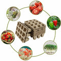 10pcs Biodegradable Seedling Trays 12-Hole Garden Starter, Eco-Friendly, 16.5x12x12 cm - SuperSaverAU - view 6