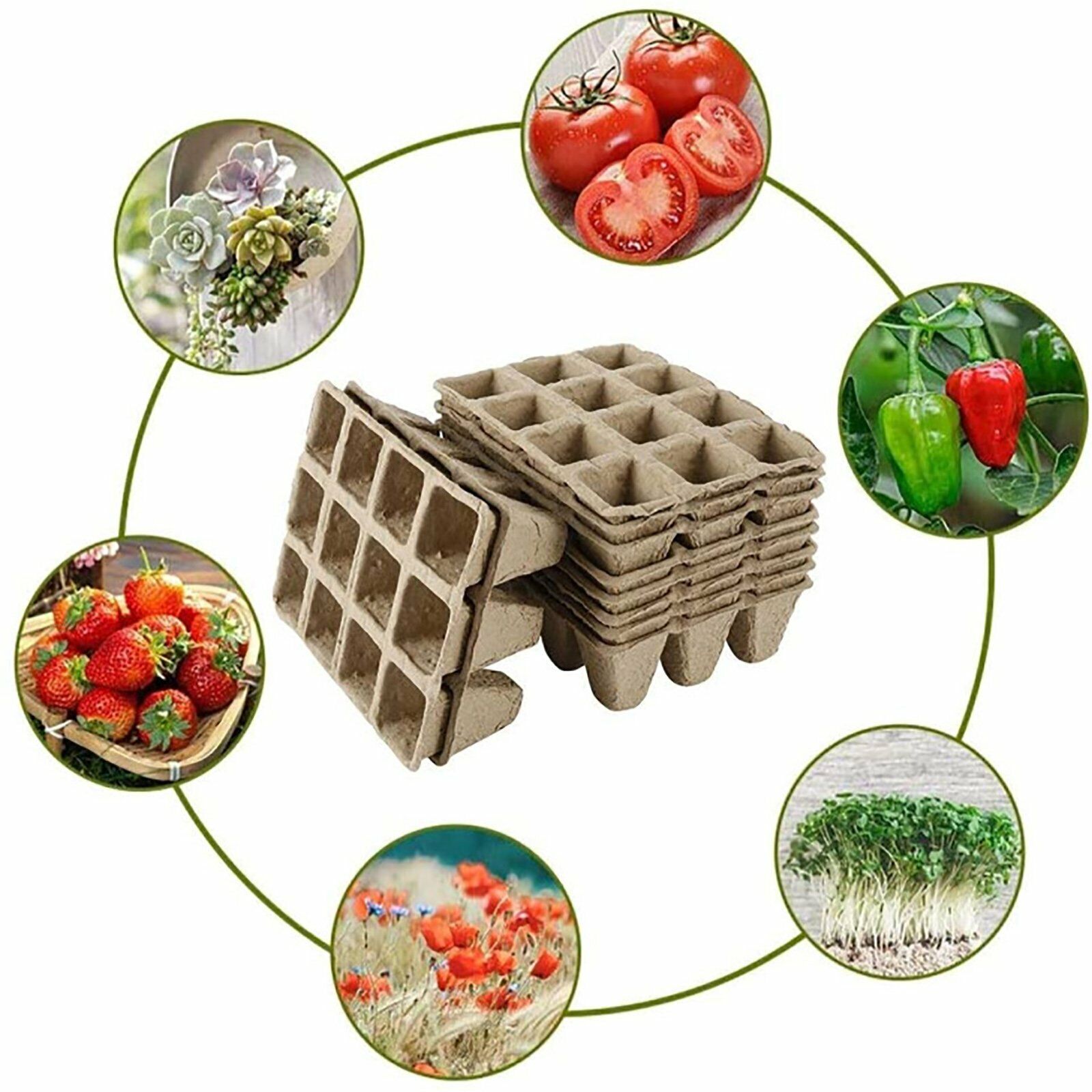 10pcs Biodegradable Seedling Trays 12-Hole Garden Starter, Eco-Friendly, 16.5x12x12 cm - SuperSaverAU - view 6