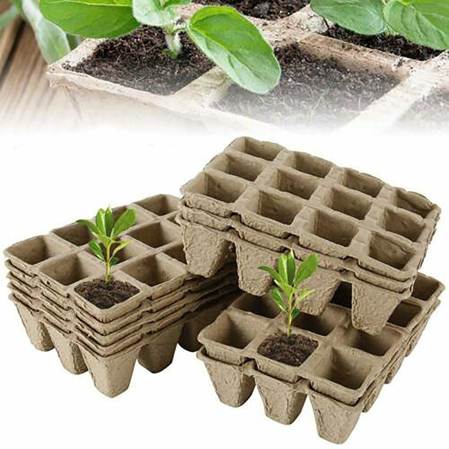 10pcs Biodegradable Seedling Trays 12-Hole Garden Starter