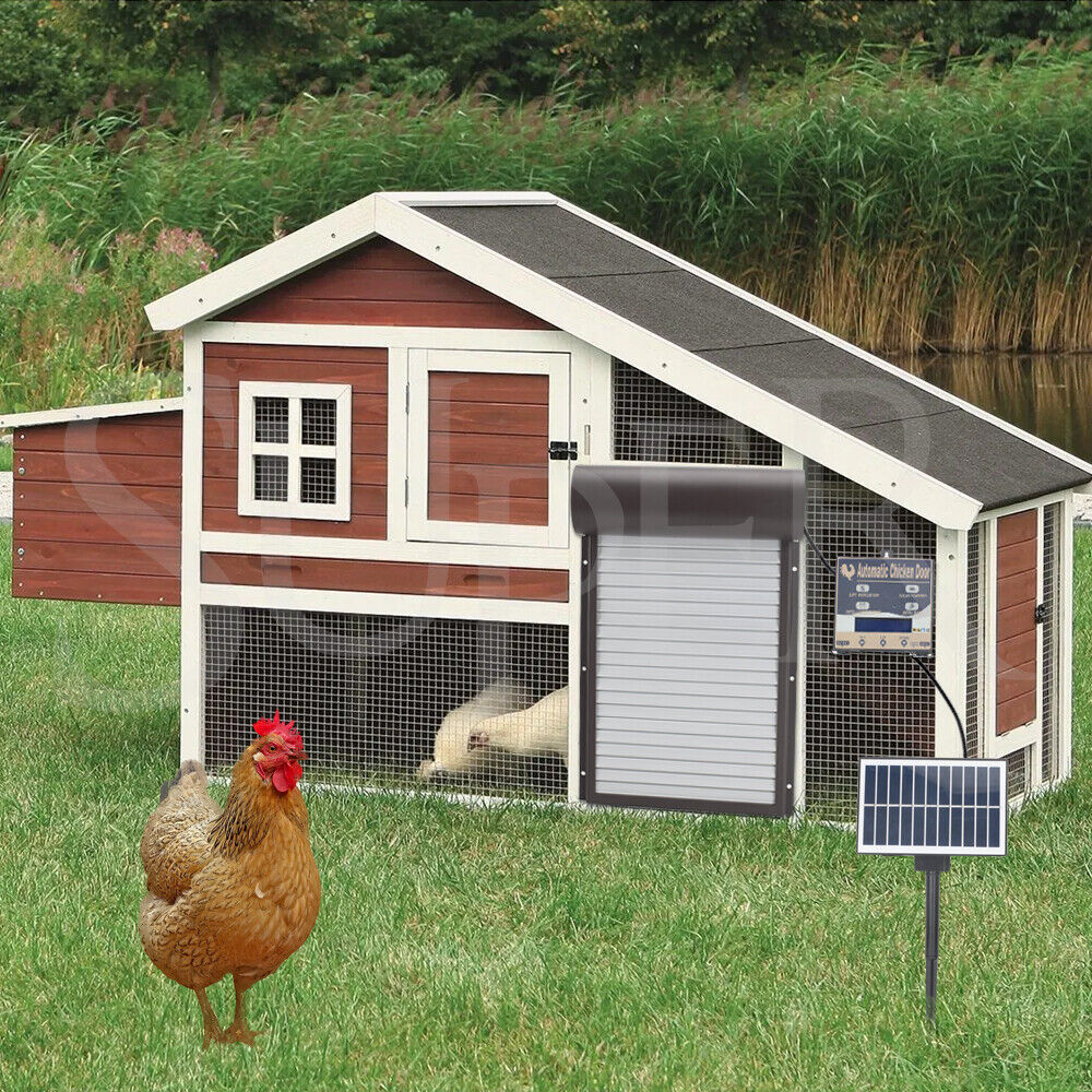 Premium Automatic Chicken Coop Door Opener – Light Sensor & Remote
