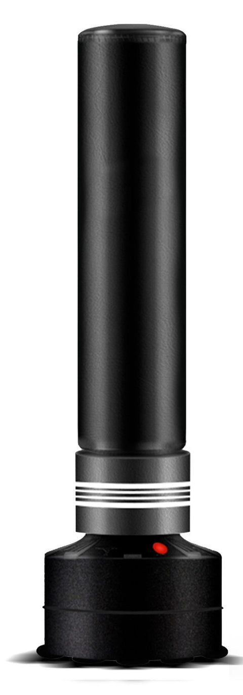 Premium Freestanding Boxing Bag with Fillable Stable Base - 170cm