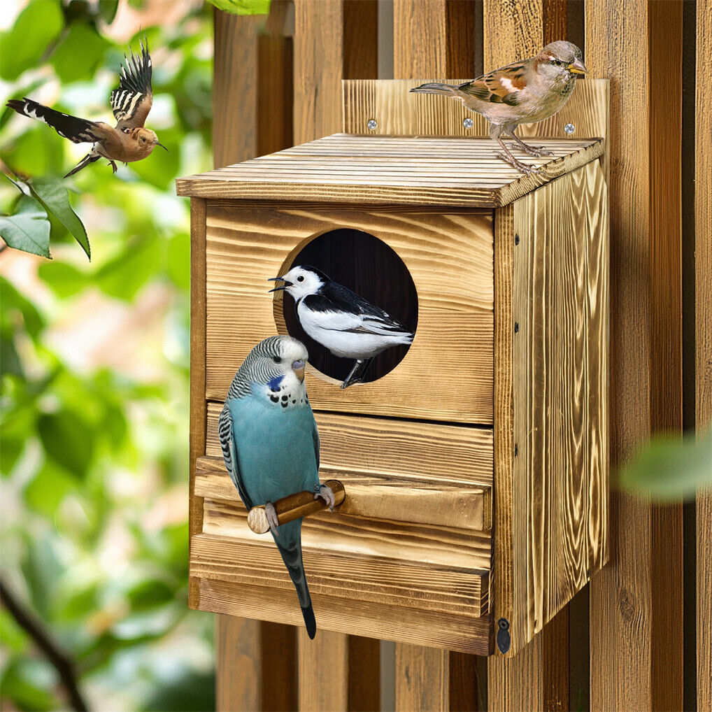 Owl Nesting Box Bird Feeder, 20x15x25 cm, Paulownia Wood, Easy Maintenance - SuperSaverAU - view 2