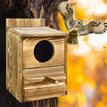 Owl Nesting Box Bird Feeder, 20x15x25 cm, Paulownia Wood, Easy Maintenance - SuperSaverAU - view 3