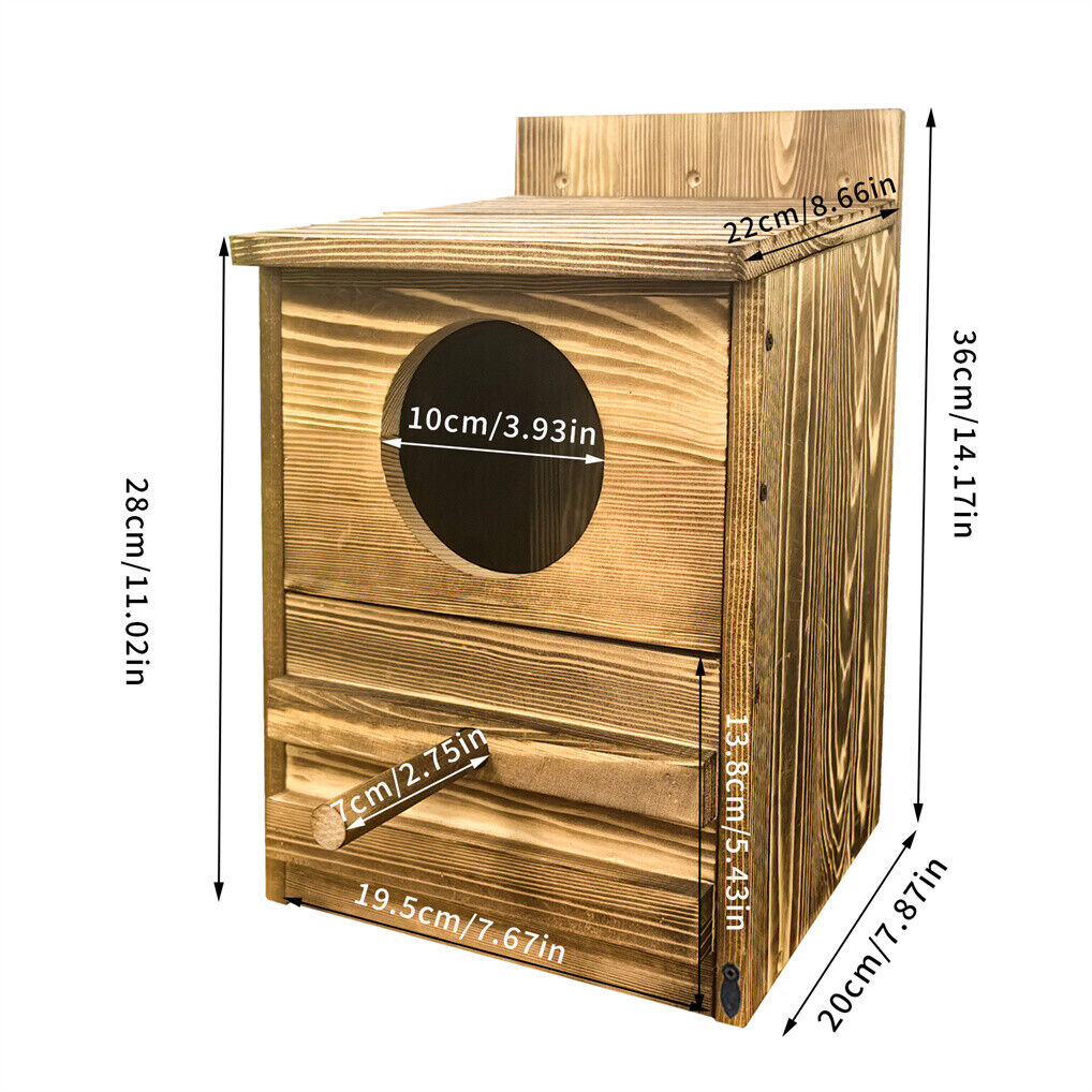 Owl Nesting Box Bird Feeder, 20x15x25 cm, Paulownia Wood, Easy Maintenance - SuperSaverAU - view 4