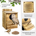 Owl Nesting Box Bird Feeder, 20x15x25 cm, Paulownia Wood, Easy Maintenance - SuperSaverAU - view 5