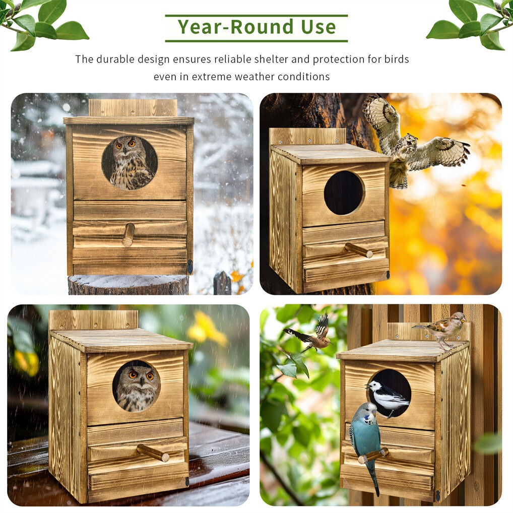 Owl Nesting Box Bird Feeder, 20x15x25 cm, Paulownia Wood, Easy Maintenance - SuperSaverAU - view 8