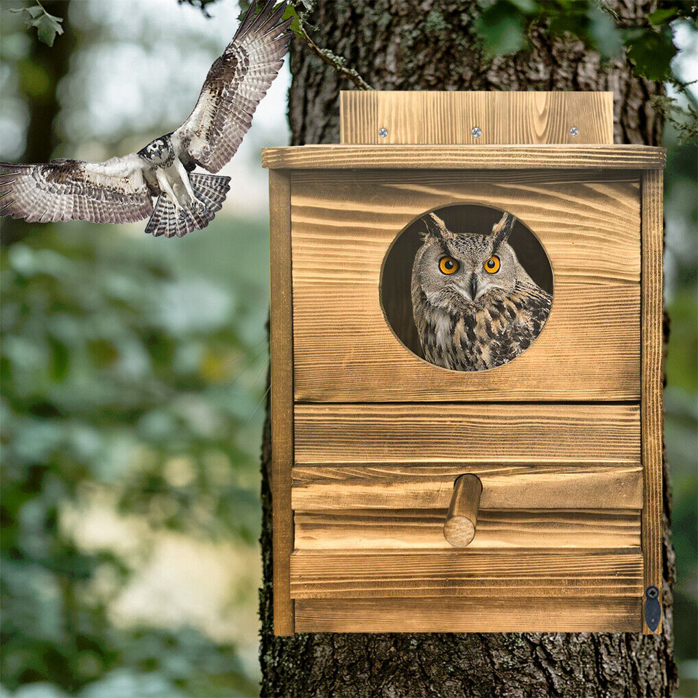 Owl Nesting Box Bird Feeder, 20x15x25 cm, Paulownia Wood, Easy Maintenance - SuperSaverAU - view 10