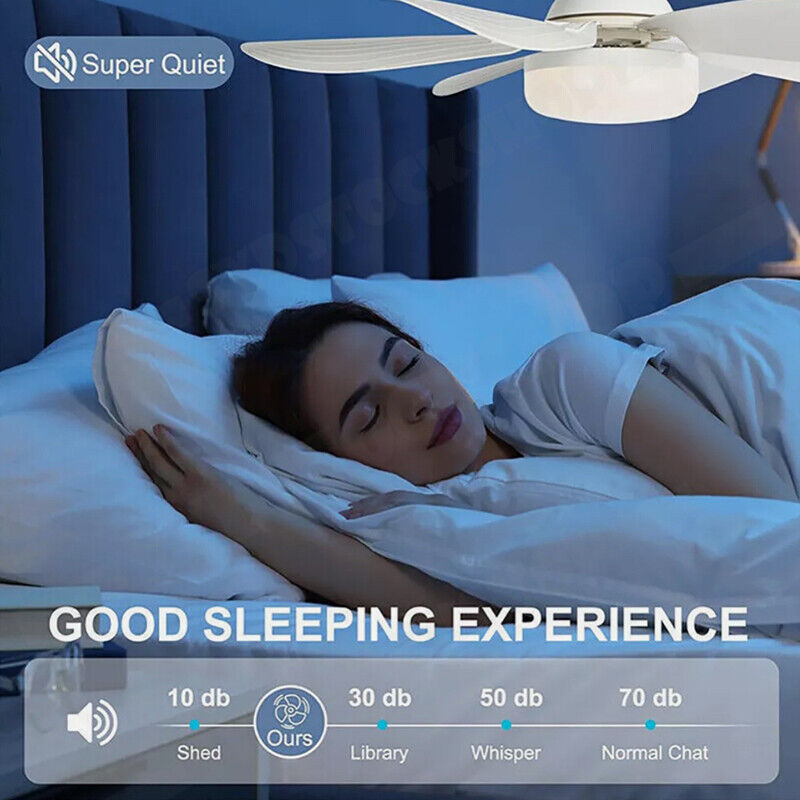 16.5 Inch Ceiling Fan with LED Light and Remote Control