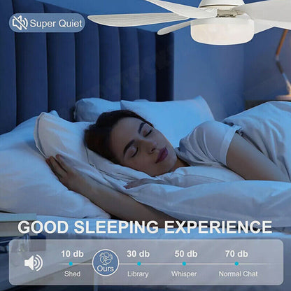 16.5 Inch Ceiling Fan with LED Light and Remote Control