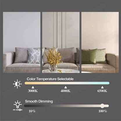 16.5 Inch Ceiling Fan with LED Light and Remote Control