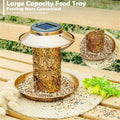 Premium Solar Hanging Bird Seed Feeder – with LED Light