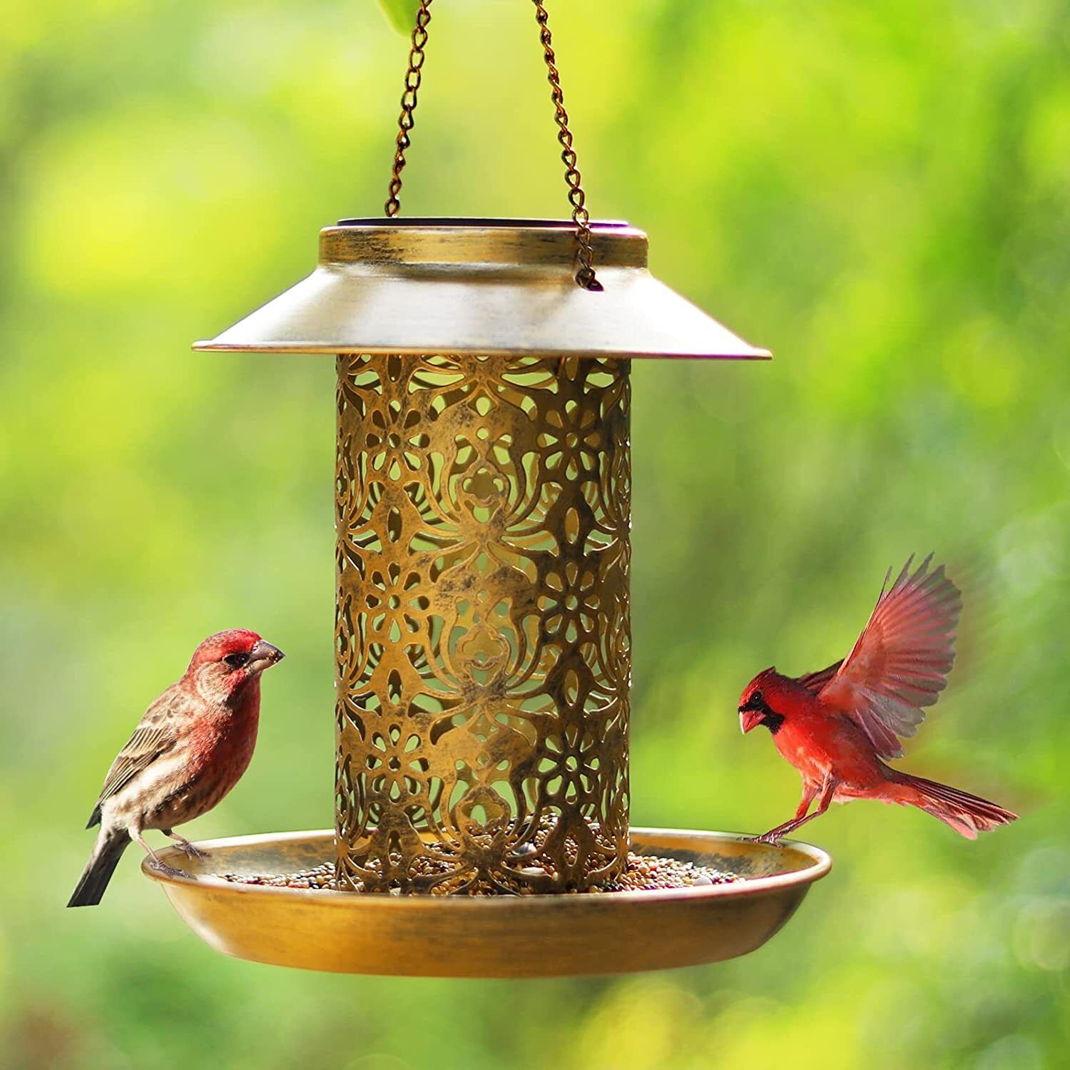 Premium Solar Hanging Bird Seed Feeder – with LED Light