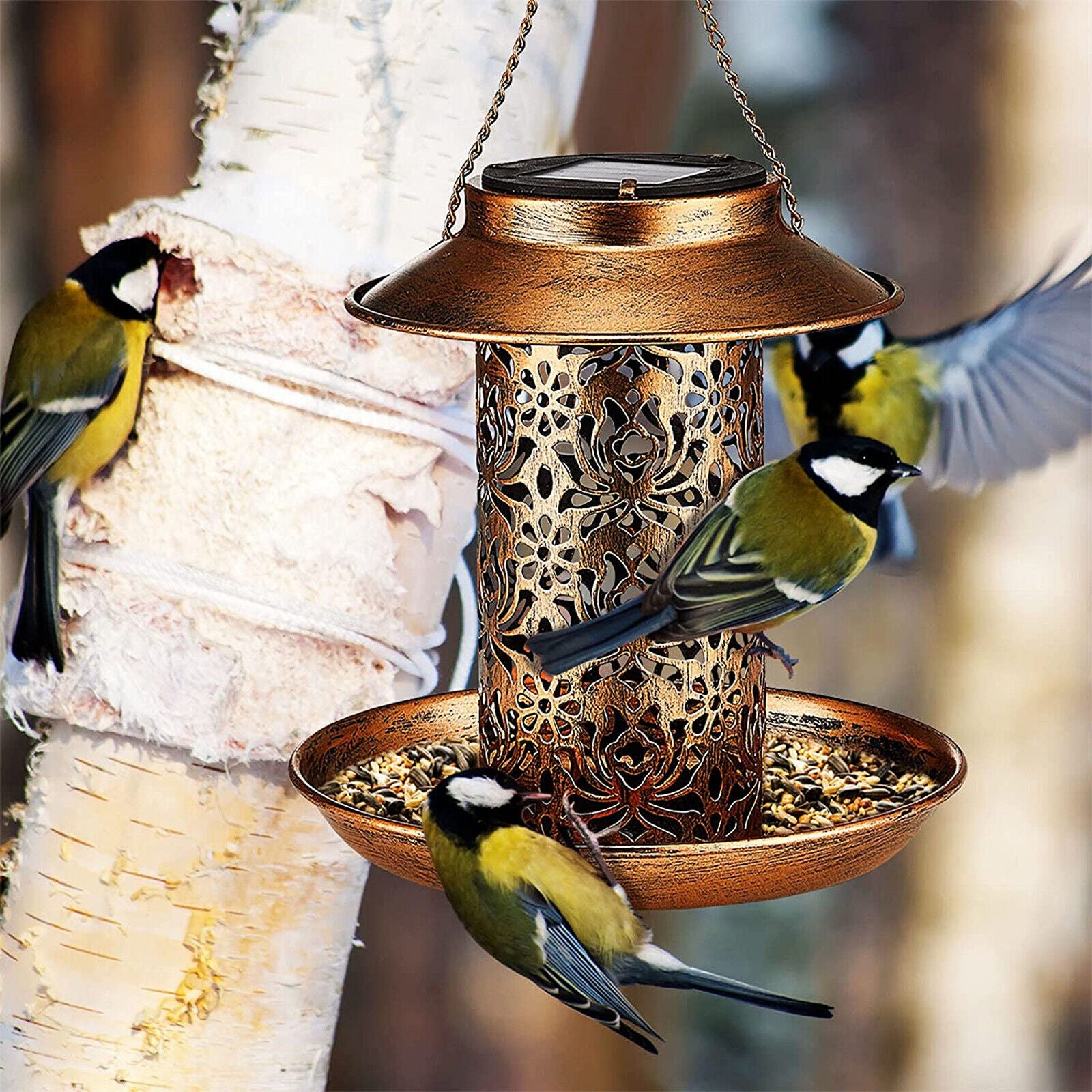 Premium Solar Hanging Bird Seed Feeder – with LED Light