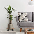 Wooden Plant Caddy Stand 2-Pack with 360° Rotating Casters - SuperSaverAU - view 5