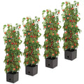 Tomato Tower with 3-Tier Frame - Pack of 4 - SuperSaverAU - view 2