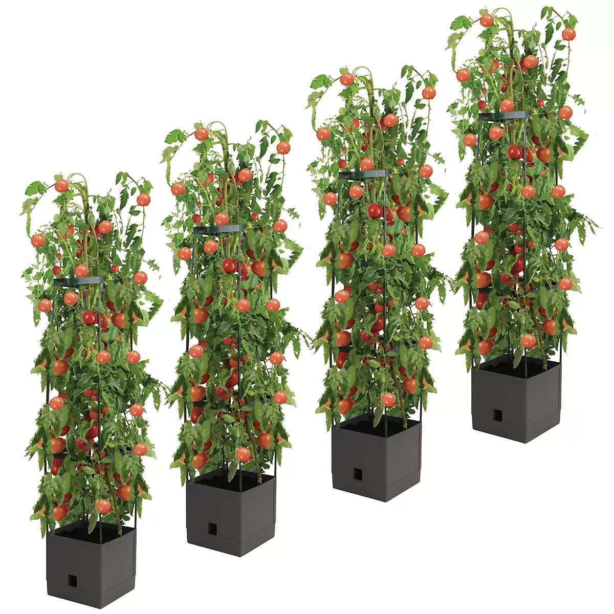 Tomato Tower with 3-Tier Frame - Pack of 4
