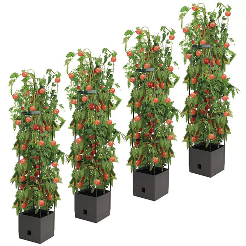 Tomato Tower with 3-Tier Frame - Pack of 4 - SuperSaverAU - view 2
