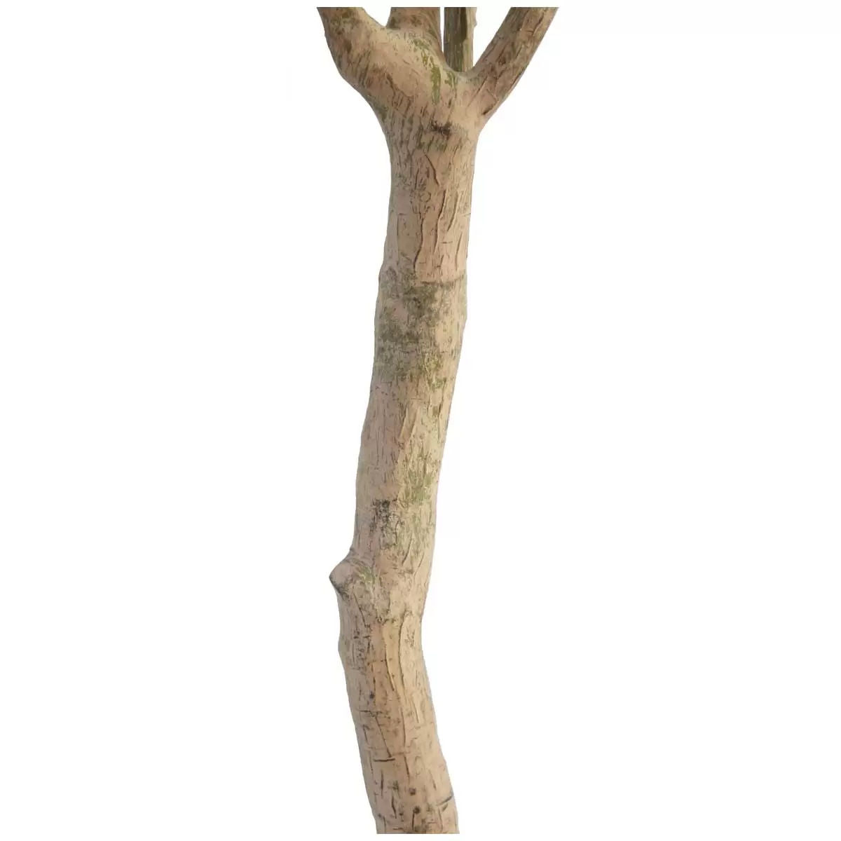 Artificial Olive Tree 2M - Lifelike, No Maintenance, Stylish Planter Included - SuperSaverAU - view 2