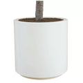 Artificial Olive Tree 2M - Lifelike, No Maintenance, Stylish Planter Included - SuperSaverAU - view 3