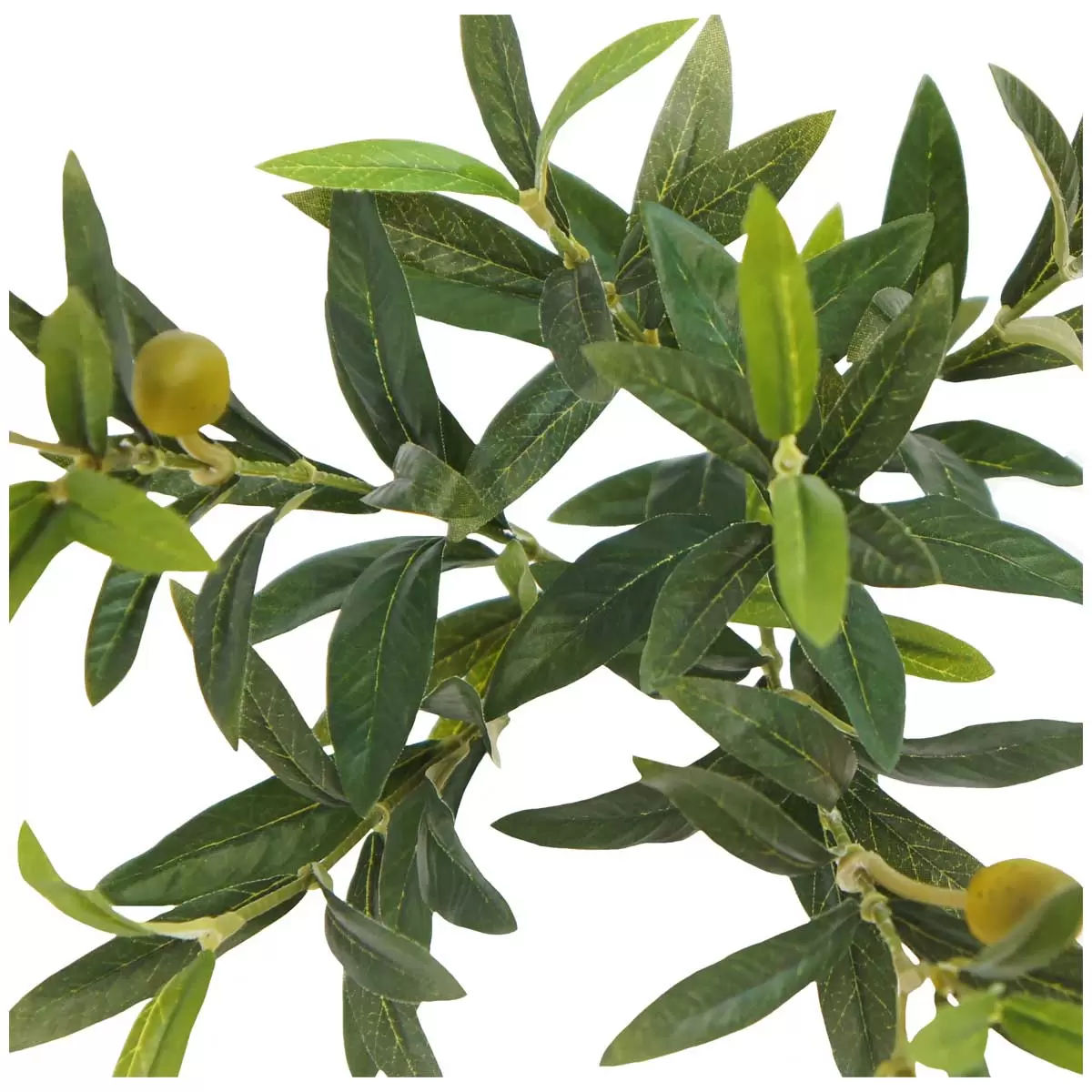 Artificial Olive Tree 2M - Lifelike, No Maintenance, Stylish Planter Included - SuperSaverAU - view 5